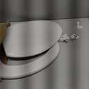 PROFLO PFTSWSC2000 Elongated Closed-Front Toilet Seat with Soft Close and Easy Clean - White