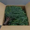 Artificial Set of 2 Cedar Topiary Ball Trees 23" for Outdoors with Ground Spike, UV Resistant Faux Cypress Plants, Evergreen Shrubs Bushes for Front Porch Garden Backyard Decor