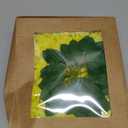 25Pcs Yellow Artificial Flowers Real Looking Foam Fake Roses, Wedding Flowers Combo for Wedding Bouquets Centerpieces Flower Arrangements Decorations (Yellow, 25)