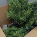 Outdoor Artificial Cedar Topiary Tree, Faux Evergreen Shrubs for Front Porch Decor, Lifelike Fake Bushes Plants for Home Living Room Front Door Decor (1, 2ft)