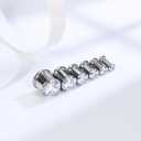 Astm F136 Titanium Round CZ Ear Gauges Screw Fit Flesh Tunnels Plugs Gauges Earring Expander Stretcher Ear Tunnels For Ears 10G 8G 6G 4G 2G 0G 00G Plug Earrings Piercing Jewelry For Women Men