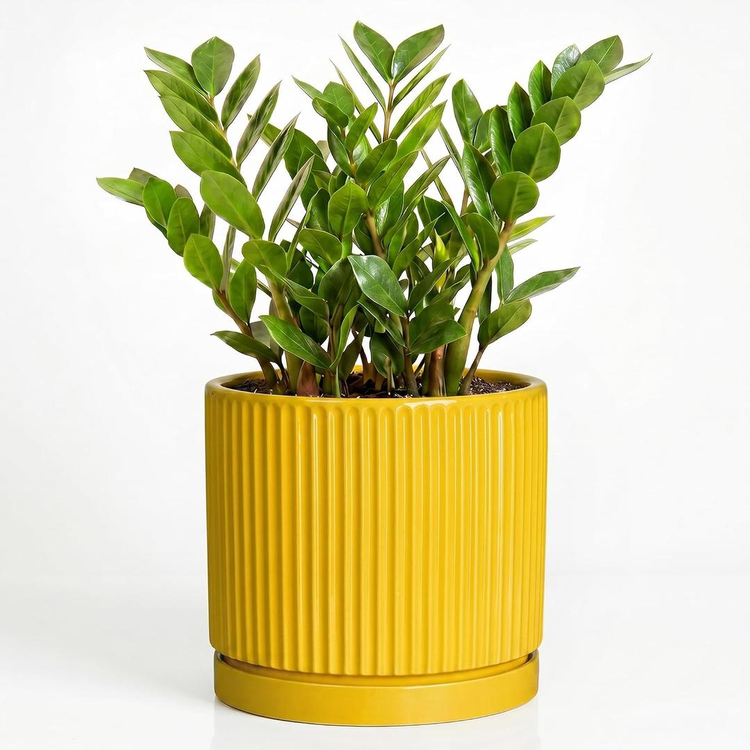 Ceramic Pots for Plants, 10 Inch Plant Pots with Tray, Yellow