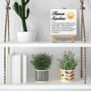 Inspirational Desk Decor Sunshine Gifts Human Sunshine Gift Human Sunshine Definition Wood Sign with Easel Home Office Shelf Table Desk Decor, Appreciation Gifts for Women Friends Men