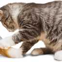 Premier Pet Fox Den Automatic Cat Toy, Interactive Toy for Indoor Cats