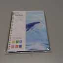 2026 Planner, Weekly and Monthly Calendar Planner Agenda, Jan 2026 - Dec 2026, Planning Academic Book, Office Desk Accessories and School Supplies - A5 (6.3'' x 8.5'') (Whale)