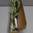 Waipfaru Faux Olive Branches for Vases, Olive Tree Branches with Lifelike Olives, Artificial Greenery Stems Decor for Centerpieces Floral Arrangements Vases (3Pcs, 18 Inch)
