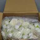 19 Pack Artificial Peony Flowers with Vase Bulk, 12 Bundles Silk Peony Bouquet 6 Plastic Clear Vase with 1 Pcs Rope, Table Centerpiece Arrangement Decoration Wedding Party (White)