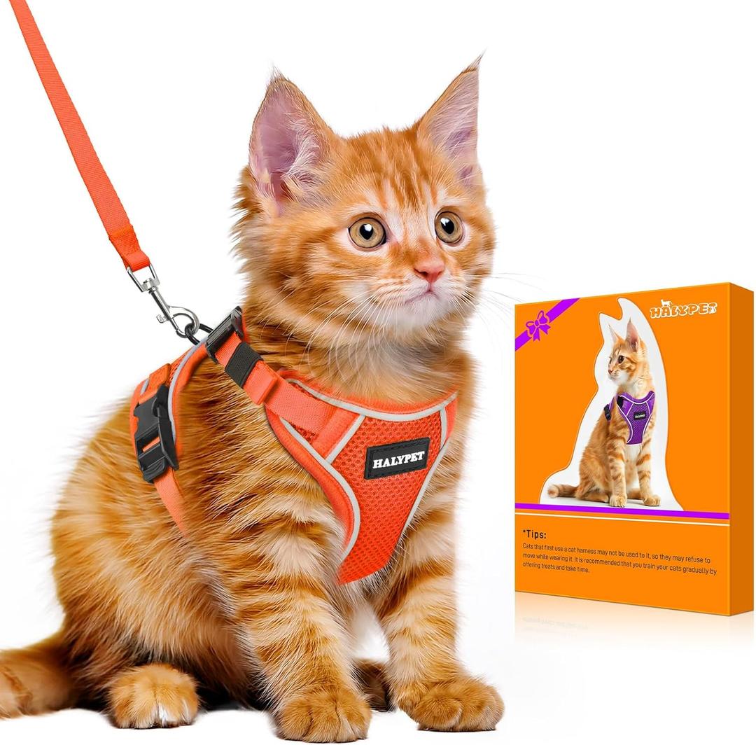 Halypet Cat Harness and Leash Set [MAX Safety 4th-Gen Upgrade] Escape Proof Adjustable Cat Leash Comfortable Soft Vest Easy to Wear Kitten Harness with Reflective Strip for Cats Walking, S Orange (Small (7-12lb))