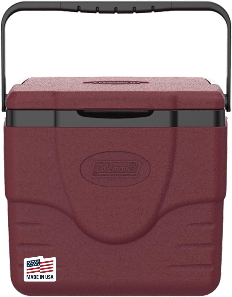 Coleman Chiller 9 Quart Portable Cooler with Ice Retention and 2-Way Heavy Duty Handles, Leak Resistant, Ideal for Camping, Concerts, Sports and More, Blueberry