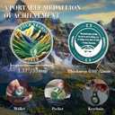 CHURYUML 4 Year Sobriety Chip Four Year Sober Coin Achievement Medallions Sobriety Gifts for Women Men AA Coins Alcoholics Anonymous Addiction Recovery Gift Affirmation Token