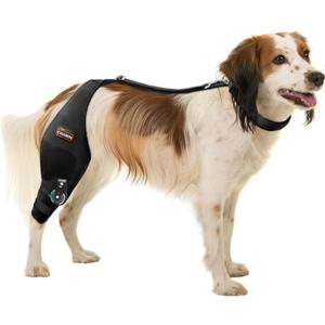 CHAMIN Adjustable Dog Knee Brace for Torn ACL Hind Leg, Support for Tear Ligament, Osteoarthritis, Rear Leg Limp, Recovery After Surgery,et (Right Leg,M)