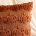 2 x Artscope Fall Pillow Covers 16 x 16 Set of 2 Decorative Autumn Harvest Holiday Pumpkin Throw Pillow Cases Soft Plush Faux Fur Couch Cushion Case for Farmhouse Halloween Sofa Bed Room Home Decor-Rust