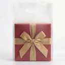 Choice Marts Merchandise Bags 100 Frosted Clear 9"x12" Size 1.5Mil Thick With Handles