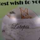 Latepis Luxury King Faux Fur Throw Blanket Fuzzy for Bed Soft Thick Blankets for Sofa Cute Plush Fuzzy Warm Blanket for All Seasons Ideal Gifts Furry Blankets Beige 90x108 Inch, 860gsm