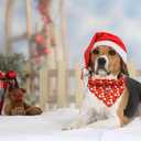 5 x Elegant little tail Christmas Dog Bandana, 1Pack Holiday Dog Scarf Dog Bandana Pink Winter Adjustable Dog Scarf Handkerchief Boy Girl Dog Bibs Scarf for Square Dog Kerchief for Small Large Dogs (Santa Claus)