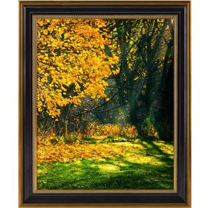16x20 Picture Frame for 16 x 20 Poster/Photo/Print, Shatter-Resistant Real Glass Wall Display (Black and Ornate Gold Design, 1-Pack)