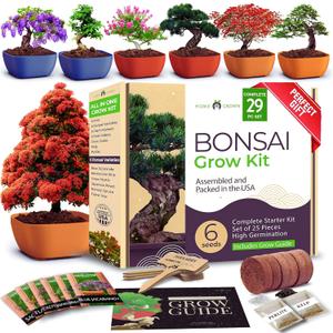 HOME GROWN Bonsai Tree Kit  6 Heirloom Varieties with Unique Pots  DIY Bonsai Starter Kit for Adults & Beginners  Christmas Gift for Men Women Gardeners Plant Lovers  Indoor Growing Kit