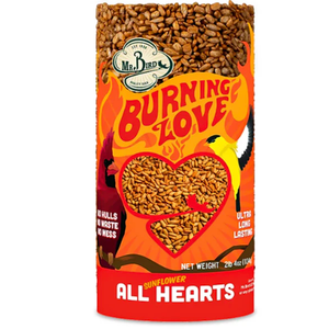 Burning Love Wild Bird Seed Cylinder (1-Pack)