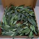 Olive Wreath for Front Door 22 inch, Greenery All Season Wreath with Olive Leaf Fruit, Home Decoration for Outdoor Living Room Indoor Wall and Outside Summer All Season Wedding
