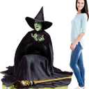 Cardboard People The Wicked Witch Melting Cardboard Cutout - Wizard of Oz, One Size