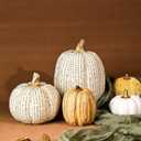 Fall Thanksgiving Pumpkin Decor Figurines, 2 PCS Fake Pumpkin Statues for Tabletop Decorating, White and Gold Resin Pumpkins for Autumn Harvest Luxury Fall Home Decor, Farmhouse, Gift Package (Set of 2)