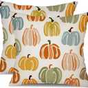 DFXSZ Fall Pillow Covers 18x18 inch Set of 2 Fall Decoration Multicolor Oil Painted Pumpkin Decor Autumn Outdoor Pillow Cover Thanksgiving Decoration for Home Couch TH140A18