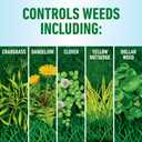 Roundup for Lawns Ready-to-Use with Extend Wand, Tough Weed Killer for Use on Northern Grasses, 1.33 gal.