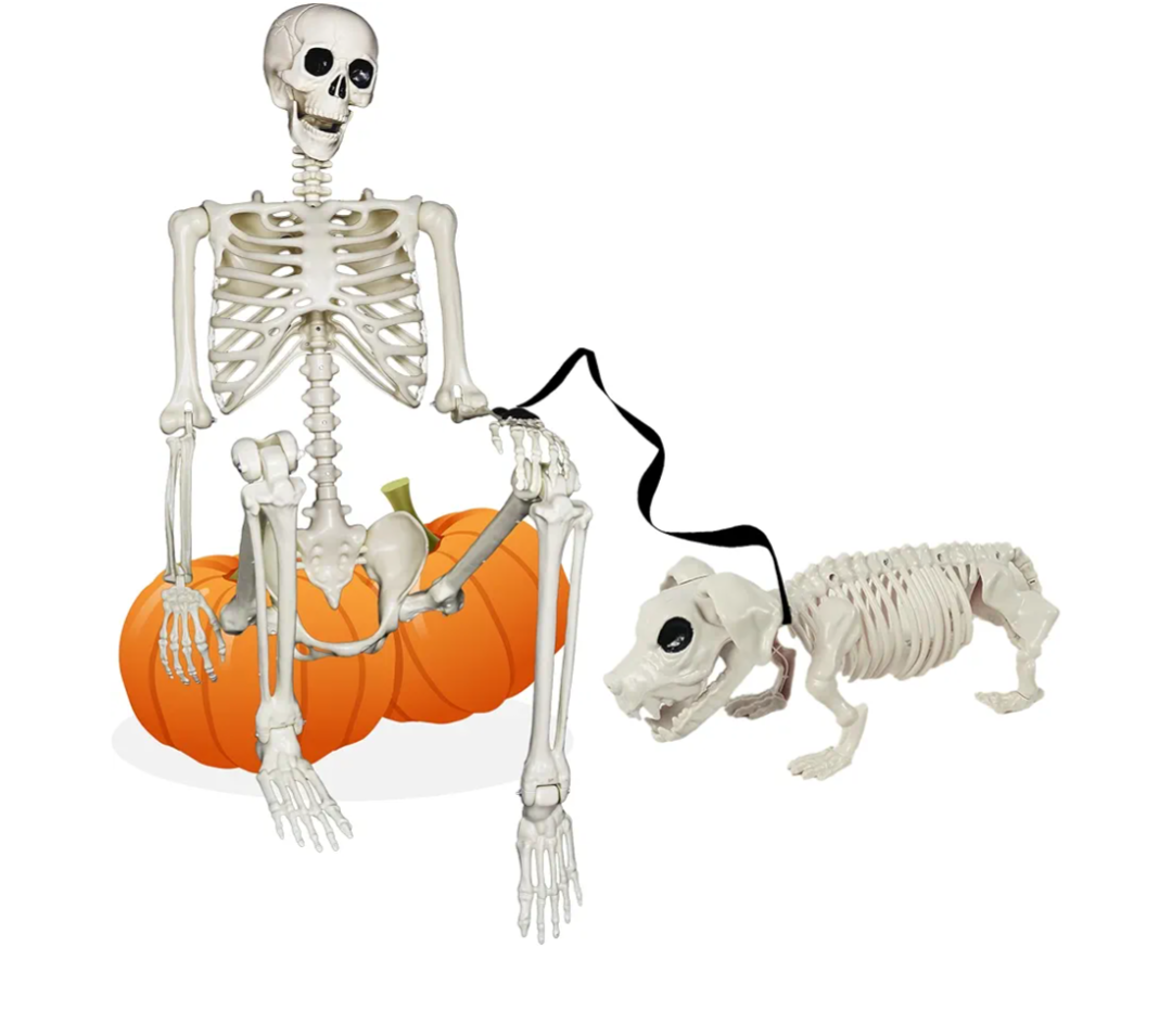 NEROSUN 5.4FT Halloween Skeletons Decoration, Posable Life Full Size Skeleton with Dog Skeleton, Realistic Plastic Human Bones for Halloween Props Haunted House Graveyard Party Decor