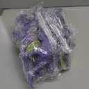 Purple Wind Up Dinosaur 6 Pack