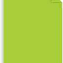 Astrobrights Mega Collection, Colored Paper, Bright Green, 625 Sheets, 24 lb/89 gsm, 8.5" x 11" - MORE SHEETS! (91622)