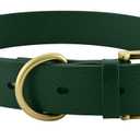 Tuff Pupper Classic Heavy Duty Dog Collar | 10x Stronger Than Leather | 100% Waterproof & Odor Proof Dog Collar | Tough Rust-Proof All Metal Hardware (Forest Green)