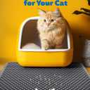Powools 27" x 19" Cat Litter Mat - Ultra-Large Litter Box Mat with Double Layers, Urine-Proof and Non-Slip Litter Trapping Mat, Easy to Clean Kitty Litter Mats for Floor, Scatter Control, Grey
