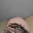 Floral Comforter Set California King Size,7 Pieces Bed in a Bag Black Pink Floral Bedding Set Elegant Flower Comforter Set for All Season with Flat Sheet, Fitted Sheet, Pillowcases & Shams