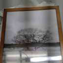 Egofine 11x14 Picture Frame Made of Solid Wood with Plexiglass, Display Pictures 5x7/8x10 with Mat or 11x14 Without Mat, for Table Top and Wall Mounting Photo Frame, Light Brown