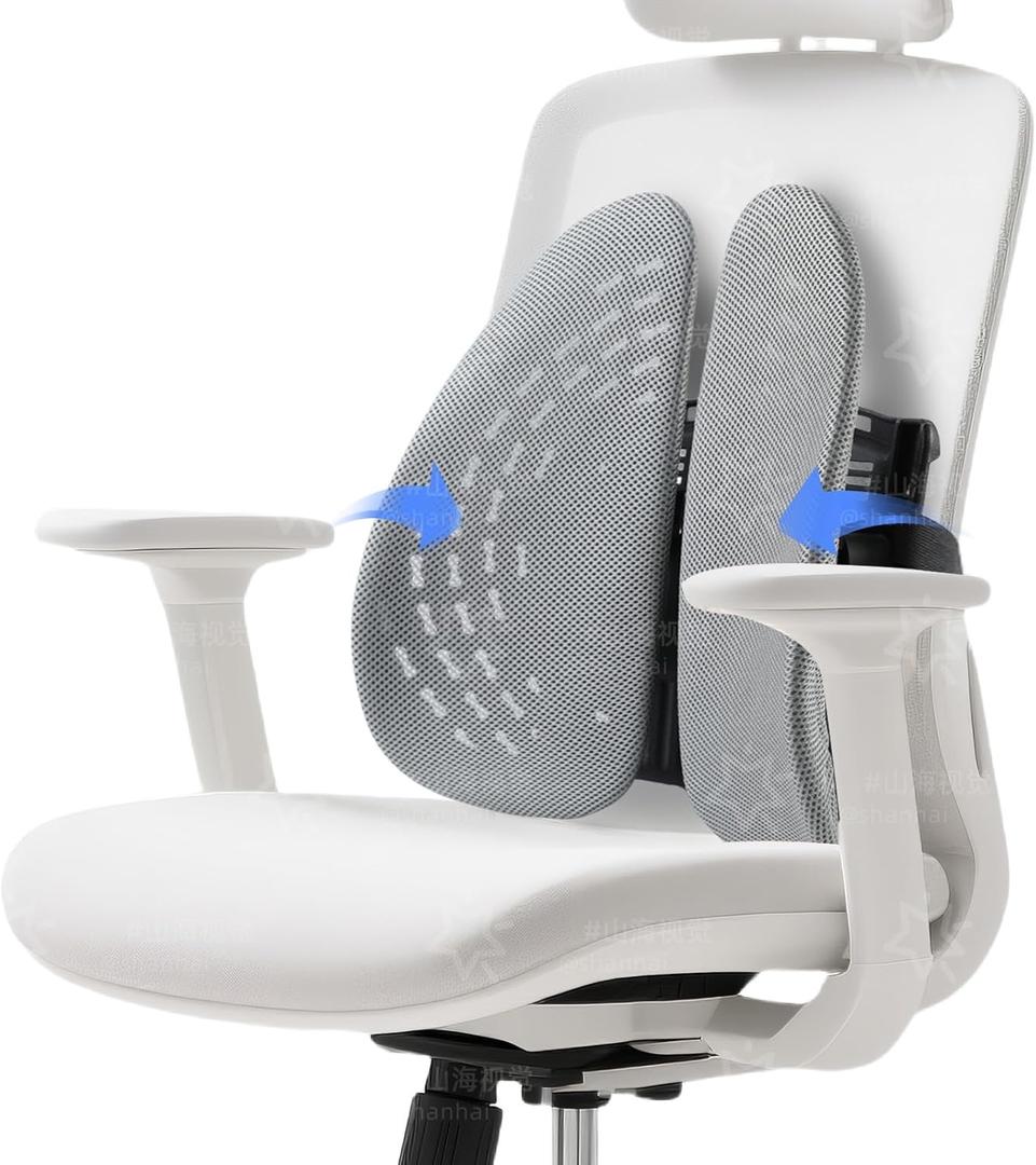 Back Cushion for Chairs  Adjustable Lumbar Support Pillow for Office & Car Seats to Relieve Back & Lumbar Pain, Improve Posture