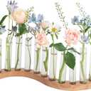 Test Tube Vases for FlowersSmall Plant Propagation StationS Shape Plant Terrarium with Wooden Stand (Solid Beech)