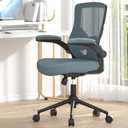 Office Chair, High Back Desk Chair Adjustable Height and Ergonomic Design Home Office Computer Chair Executive Lumbar Support Padded Flip-up Armrest Swivel Task Chair (Black Coral)