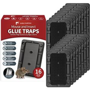 LULUCATCH Mouse & Insect Traps 16 Pack, Heavier Sticky Traps with Non-Toxic Glue for Small Mice & Insects. Sticky Mouse Traps Indoor, Easy to Set, Pet Safe Pest Control