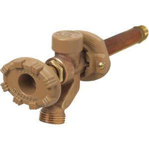 Woodford 19CP-10 Model 19 Wall Faucet, 10-Inch, CP Inlet