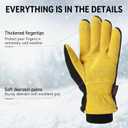 OZERO Men & Women Winter Gloves -30F Deerskin Leather Water-resistant Windproof Cold Weather Glove for Driving Hiking (Medium, Gold-black)