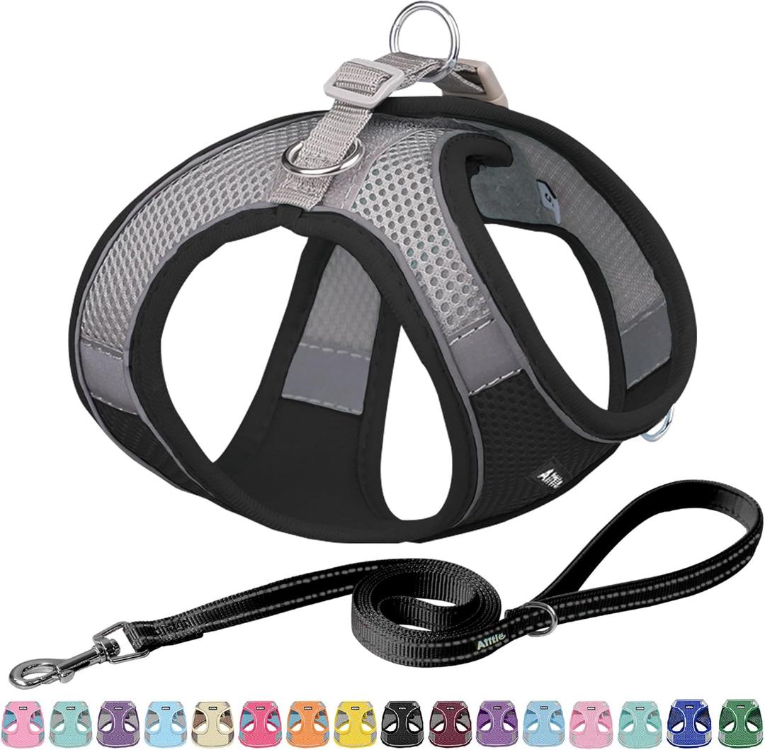 AIITLE Comfortable Dog Harness and Leash Set for Walking - Step in Vest Harness,Reflective Bands, Adjustable No Pull Puppy Essentials, for Small Dogs and House Cats Black XS (XS(Chest: 11.5 - 13.5"))