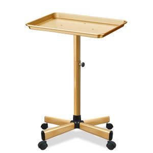 Retain Time Premium Aluminum Salon Tray, Sturdy Corrosion-Resistant Adjustable Tray is Used for Salon Tray on Wheels, Salon Tool/Color Tray, Beauty Spa Tray, Dentist Tray(Gold) 18"D x 13"W x 26"H