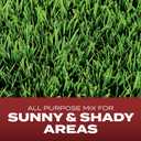 Scotts Turf Builder Grass Seed Landscaper's Mix (North), 40 lbs.