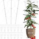 Gisafai 15 Pack Folding Tomato Cages Metal Plant Support Rings Heavy Duty Tomato Plant Support Cage Galvanized Garden Cucumber Trellis Ring for Garden Climbing Plants Flowers Fruits (46'' x 15'')