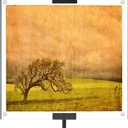RattanView Black Adjustable Metal Easel Stand with Acrylic Floating Photo Frame 16.5" Tabletop Metal Standing Easel Display Stand for Display Picture, Frame, Photos, Art, Poster, Signs
