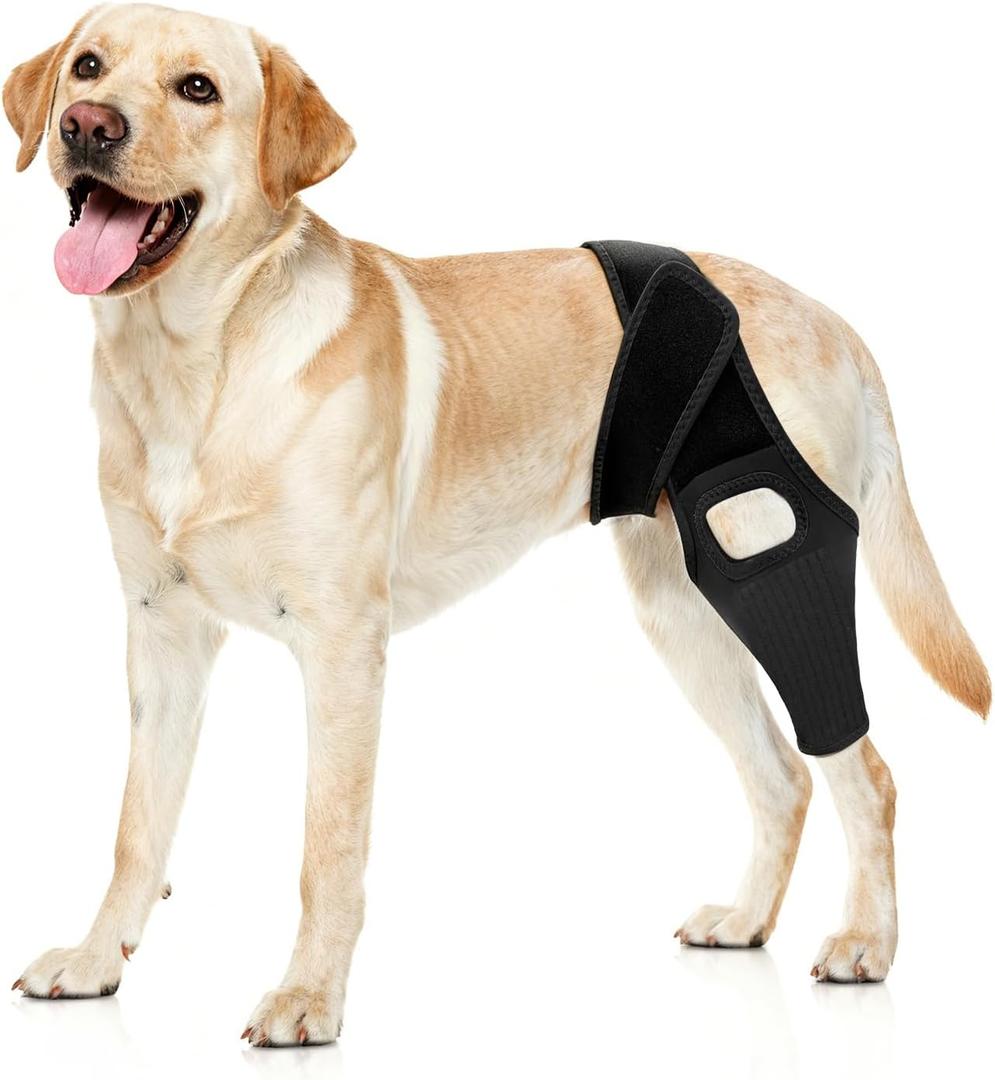 Jorme Dog Knee Brace for Torn ACL, Dog Leg Brace for Post-Surgery Recovery, Arthritis & Luxating Patella,Side Stabilizers, Breathable Neoprene, Adjustable Velcro & Belly Band,Front/Rear Legs (L)