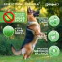 Gargeer Lawn Saver Chews for All Dog Breeds and Ages. Protect Your Grass with Balanced Urine Ammonia and Nitrogen Levels. Vet Created - 150 Duck Flavored Soft Chews. Made in the USA. Enjoy!