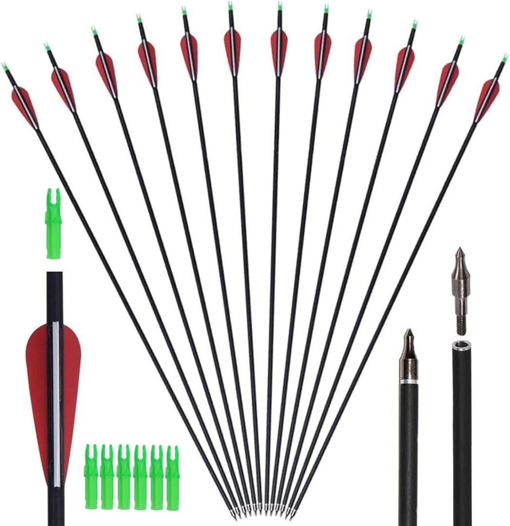 GPP Archery Carbon 30-Inch Targeting/Hunting Arrows Field Points Replaceable Tips for Recuve Bow & Compound Bow (12PK Black)