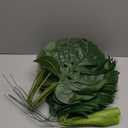 Cindeer 24 Pcs Artificial Palm Leaves 3 Kinds Large Faux Monstera Leaf Greenery Stems Safari Jungle Leaves for Hawaiian Christmas Easter Party Table Wedding Decorations (Small)