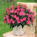 Artificial Impatiens Bouquet Flowers for Outdoors Silk Faux Flowers for Outdoor Impatiens Plants Decor Indoor Planters Kitchen Planters and Balcony Decorations 4PCS (Rose Red)